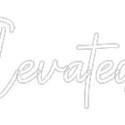 Custom Neon: The Elevated ...